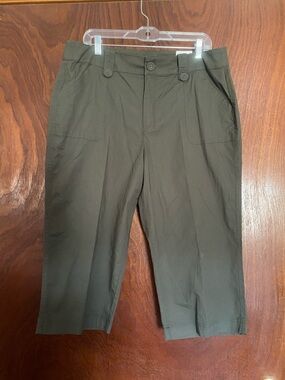 Christopher Banks women’s size 14 capris